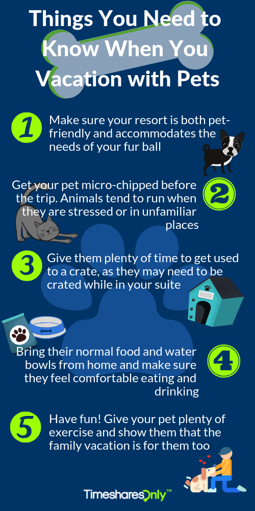 pet friendly timeshares tips for vacationing