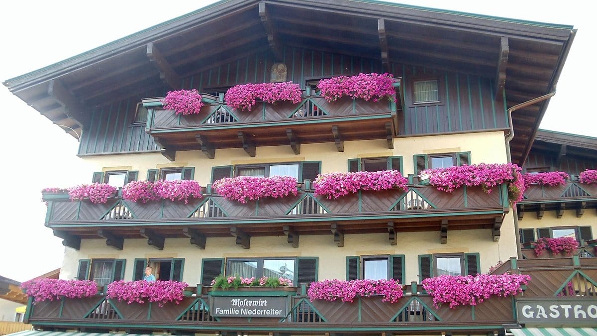 Alpenland Sporthotel windows