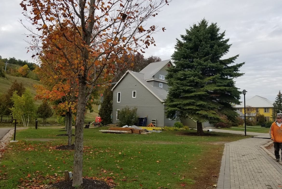 Calabogie Peaks Hotel