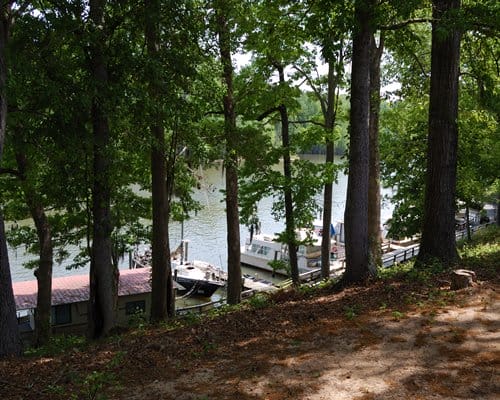 Lake Marion Resort And Marina