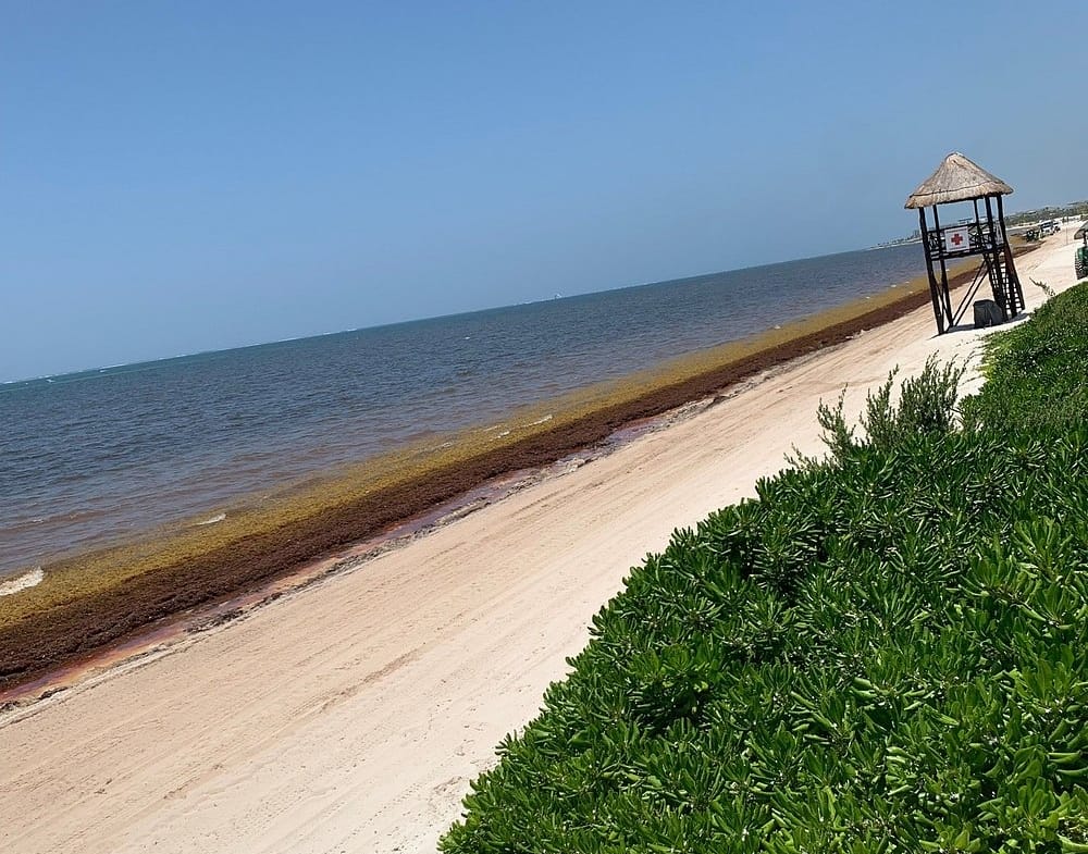 Beach View Of Moon Palace