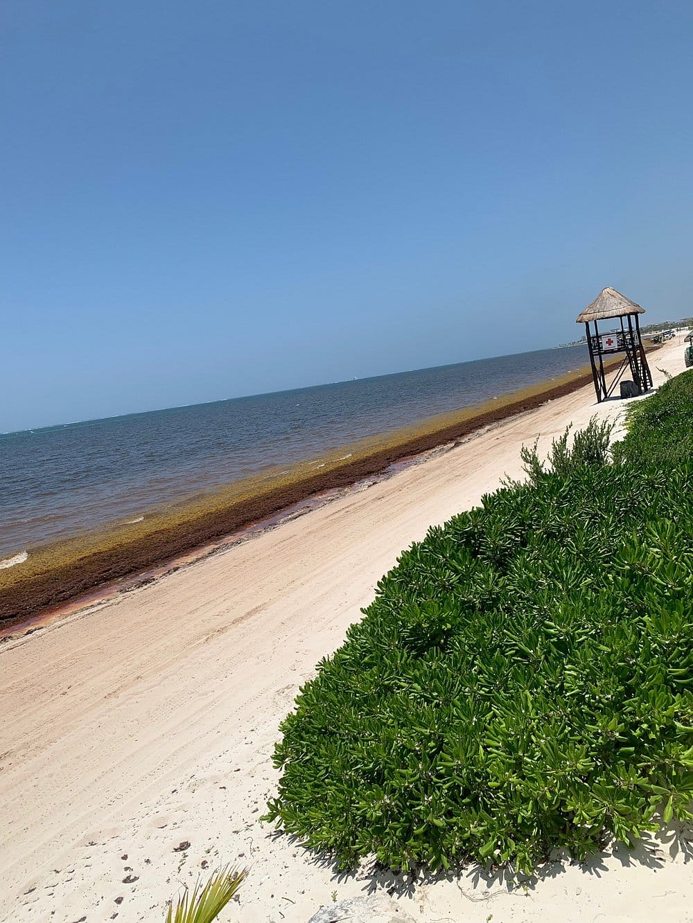 Beach View Of Moon Palace