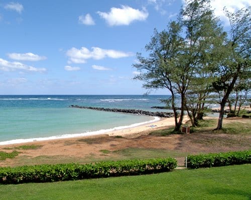 Beach View Of Pacific Fantasy