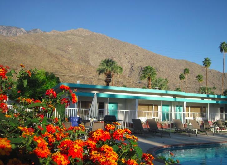 Overview Of Palm Springs Villas