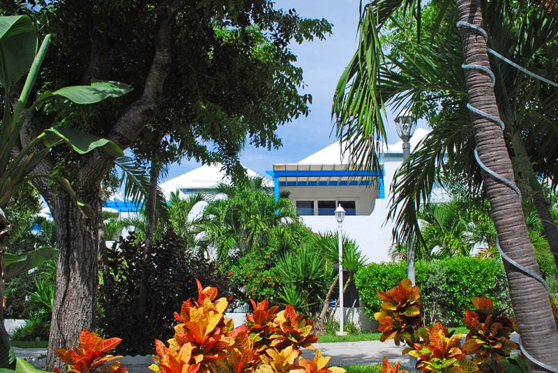 Paradise Island Beach Club Overview