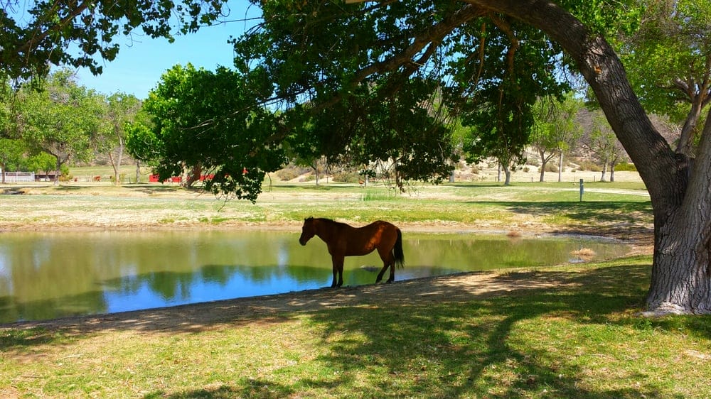 Sundance Meadows- Aguanga