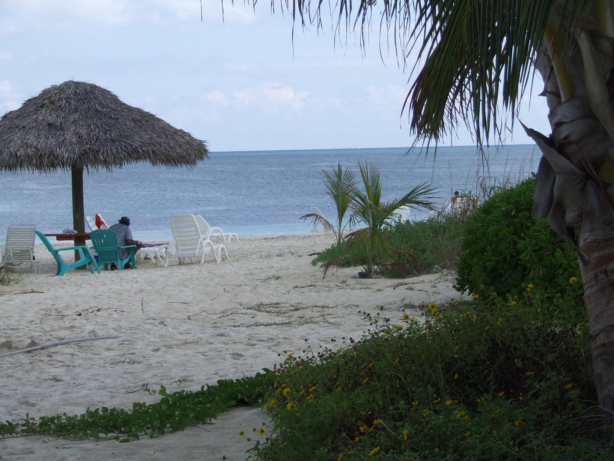 The Coral At Taino Beach