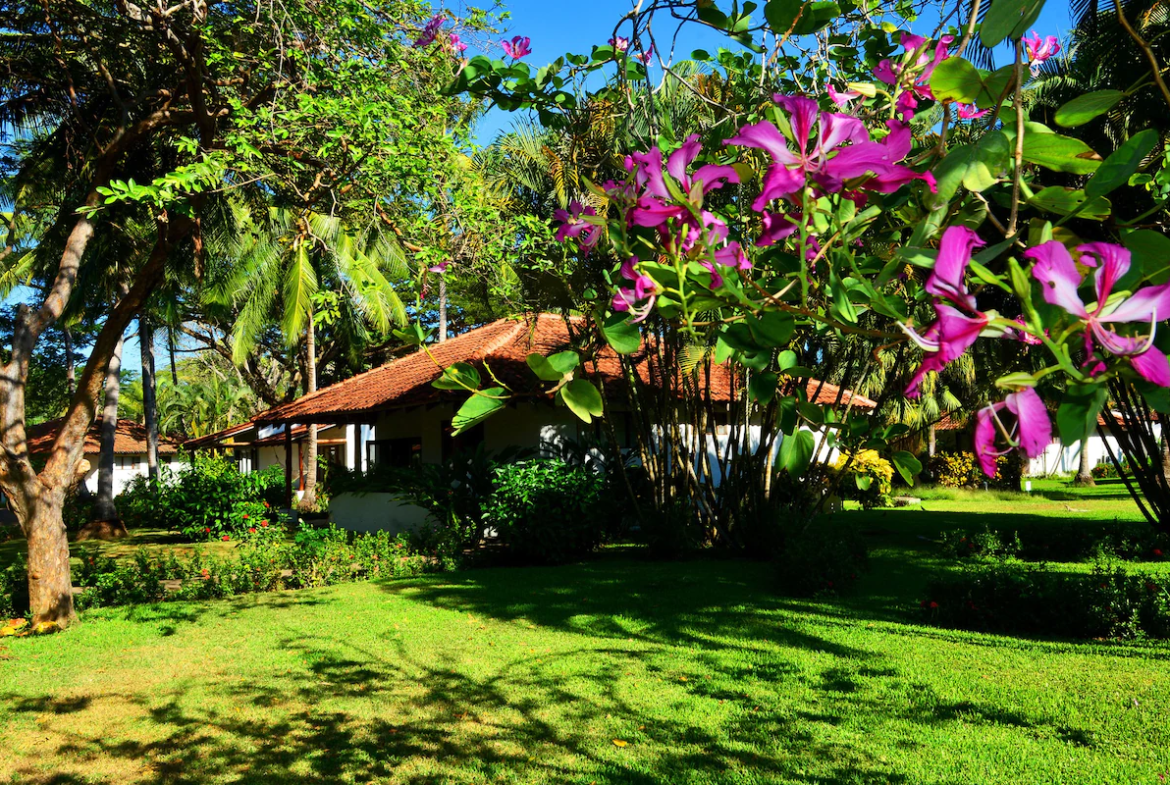 Villas Playa Samara Flower