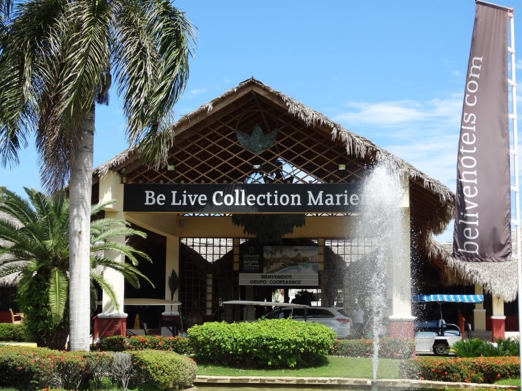 be live collection marien