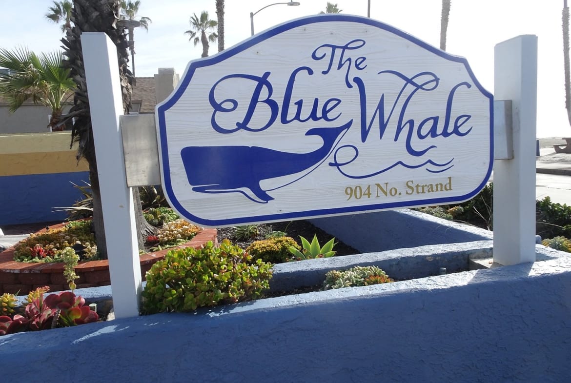 blue whale resort