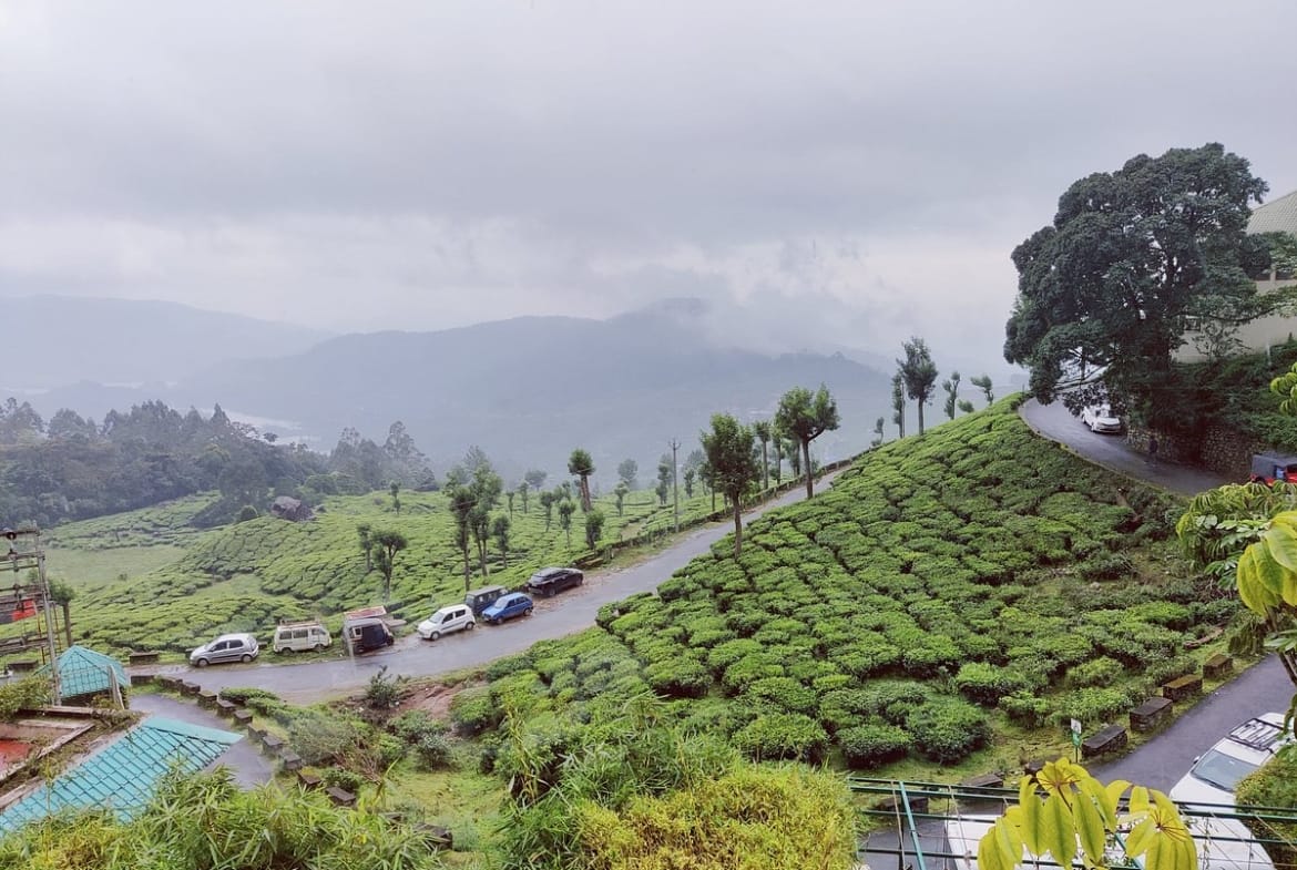 Club Mahindra Lakeview Resort - Munnar