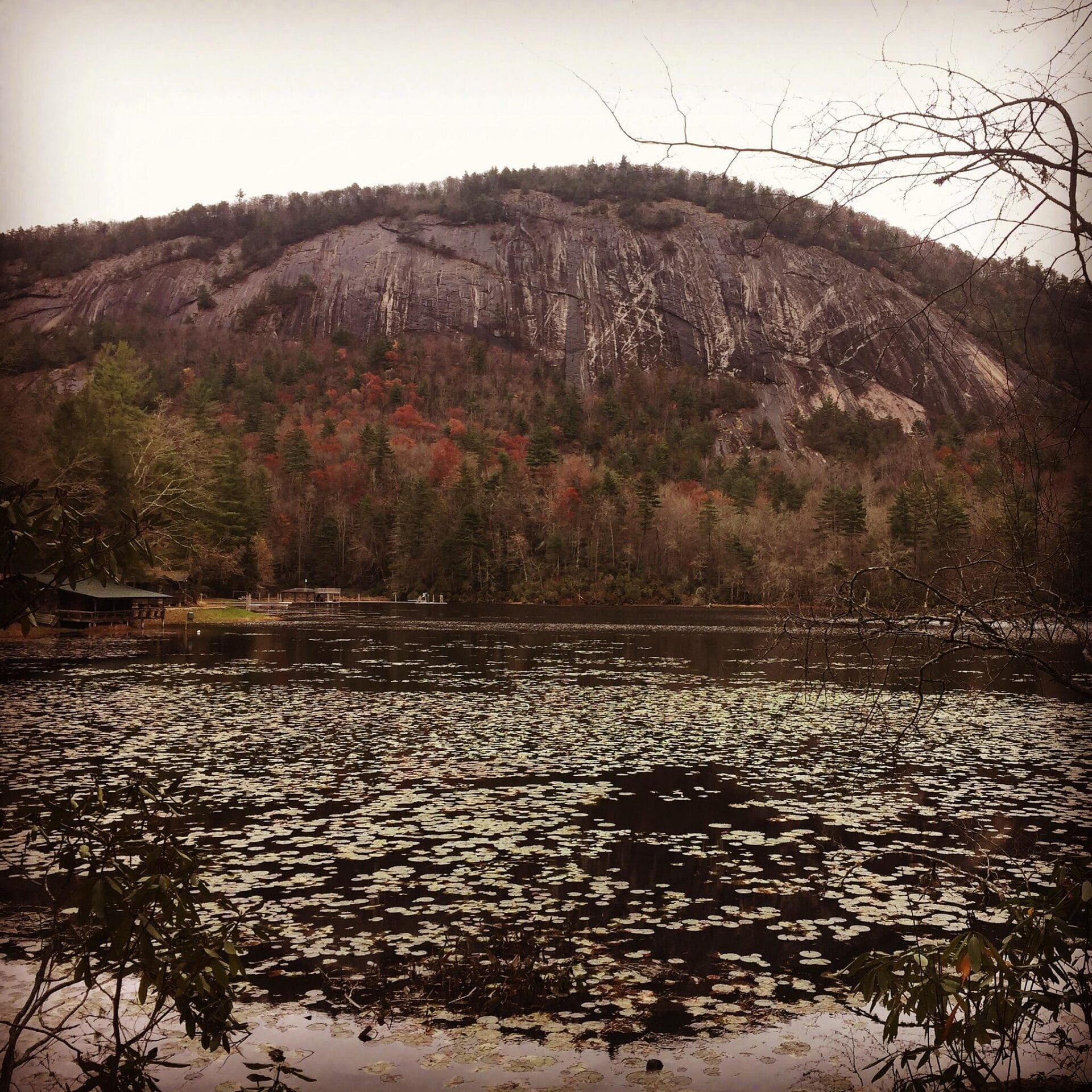 fairway forest at sapphire valley