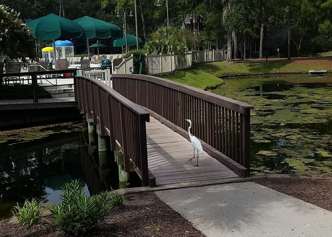 island links resort hilton head island