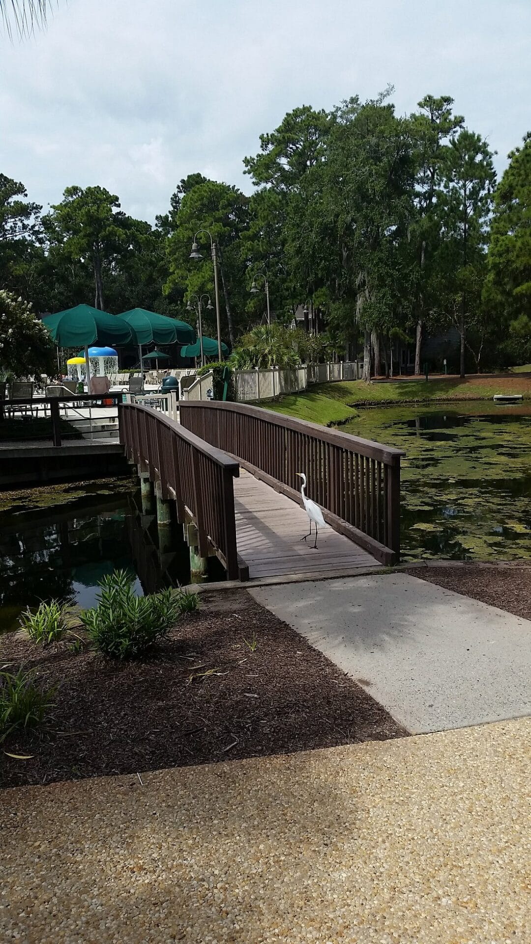 island links resort hilton head island