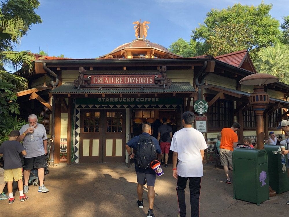 Creature Comforts Starbucks Animal Kingdom Disney