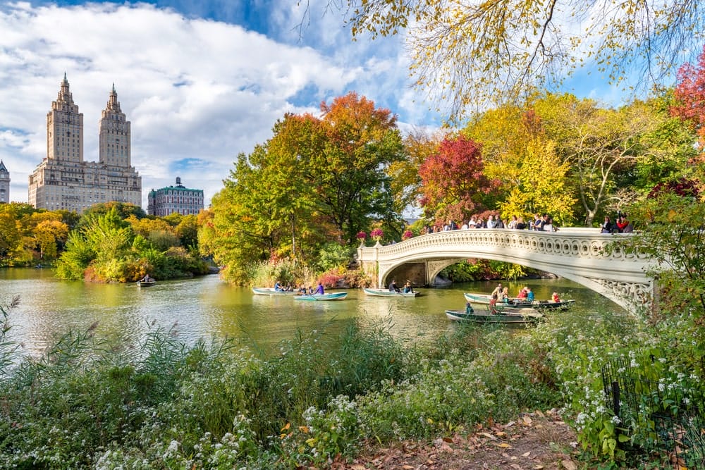 Central Park Free NYC