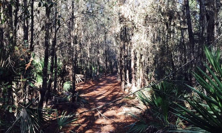 Little Manatee River State Park