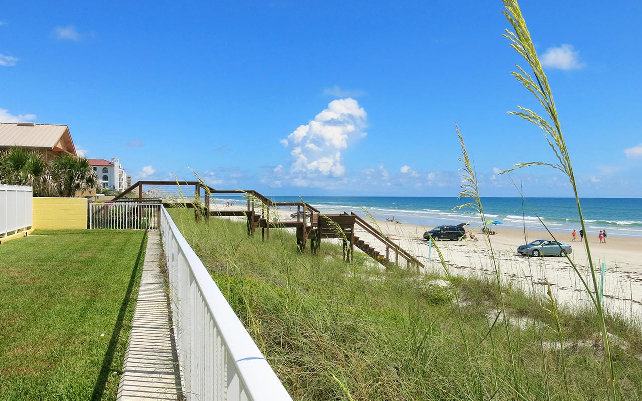 New Smyrna Waves Expo Points Beach