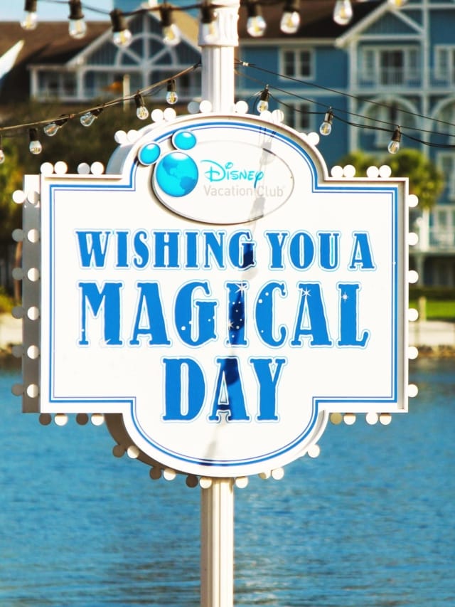 Disney Vacation Club DVC Resorts Rentals Resales Timeshares Only